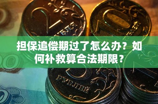 济南担保追偿期过了怎么办？如何补救算合法期限？