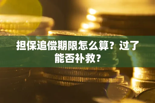 济南担保追偿期限怎么算？过了能否补救？